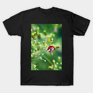 Ladybug on green T-Shirt